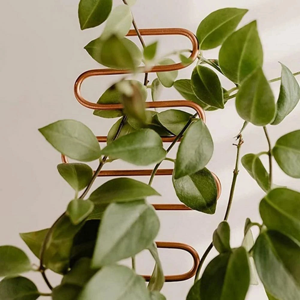Estante trepador de plantas, enrejado de plantas, soporte para plantas de jardín, soporte de estaca, crecimiento de vid de Metal, estante trepador de flores de ratán, suministros de jardín