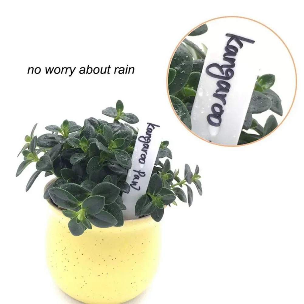 Etiquetas piezas para plantas de jardín, accesorios para plantas, macetas de flores, marcadores de plástico para guardería, etiqueta, bandeja, herramienta de bricolaje, 100