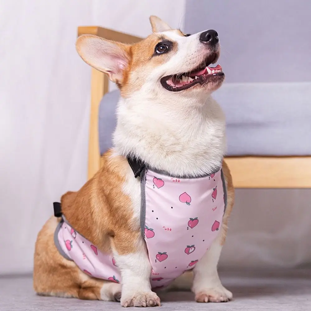 Ropa de protección del vientre para perros Korji, babero impermeable y cálido para mascotas, bolsillo para el vientre para perros de verano