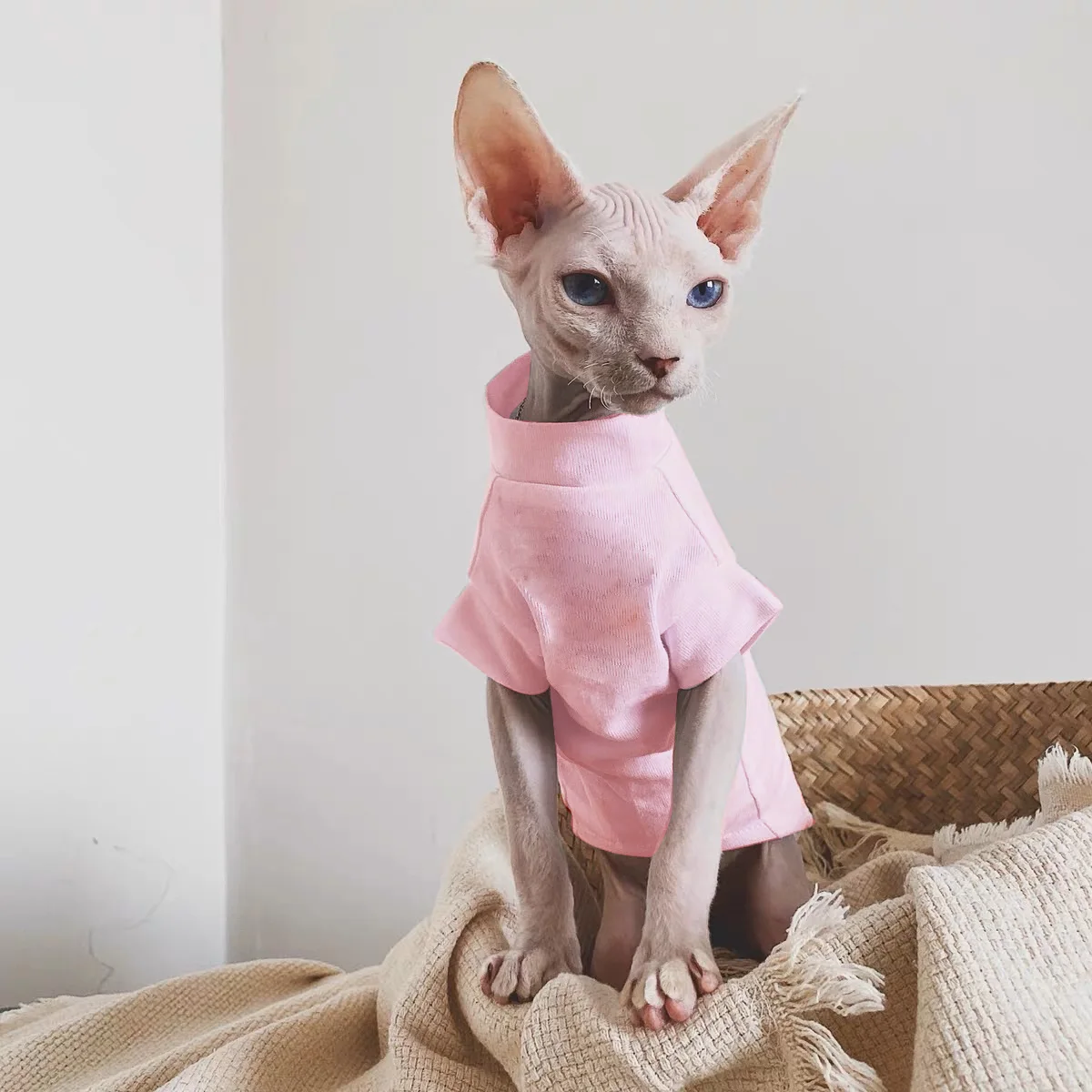 Sphynx-ropa para gatos, chaleco de algodón sin pelo para gatos, 100% de algodón suave para verano, chaleco fino sin mangas, ropa para gatos para Devon, Cornish