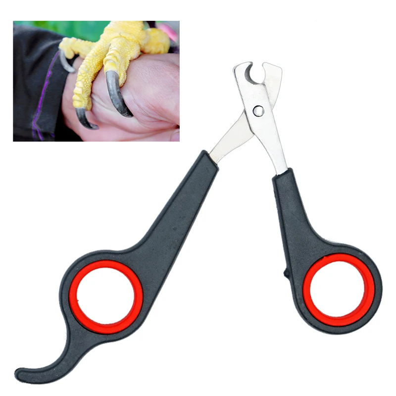 Pet pájaro loro animales pequeños accesorio herramienta de aseo tijeras para uñas cortaúñas negro y rojo