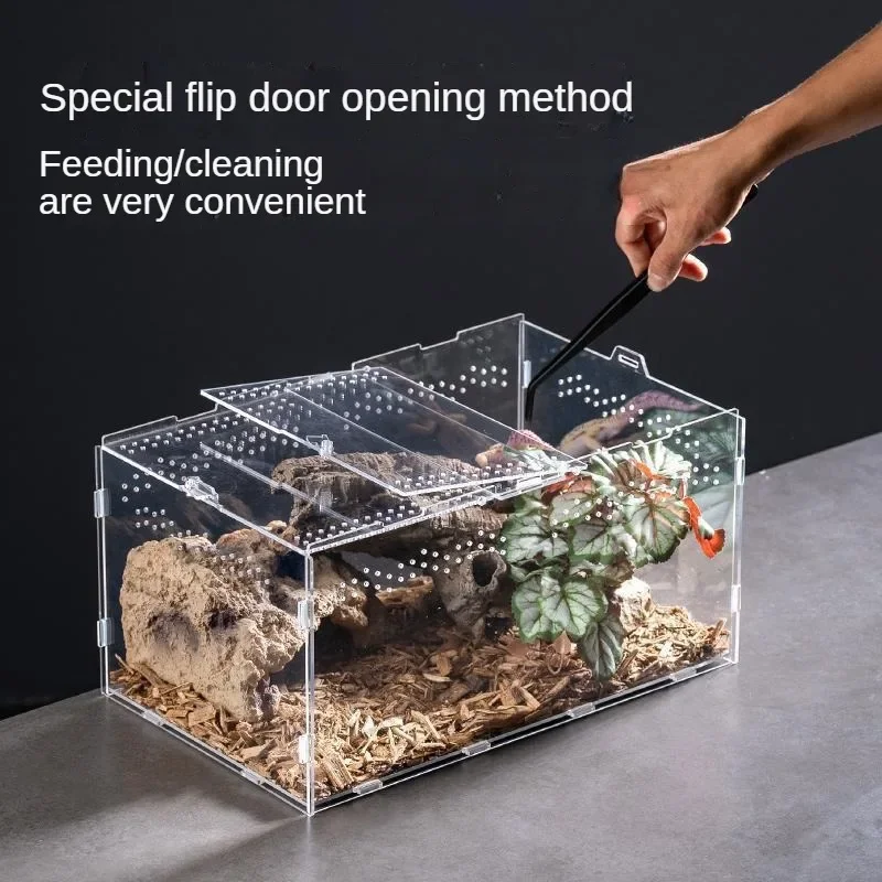 Habitat para reptiles, terrario, caja de cría, caja acrílica, carcasa de tarántula Nano Arboreal, araño, escorpión, dragón barbudo