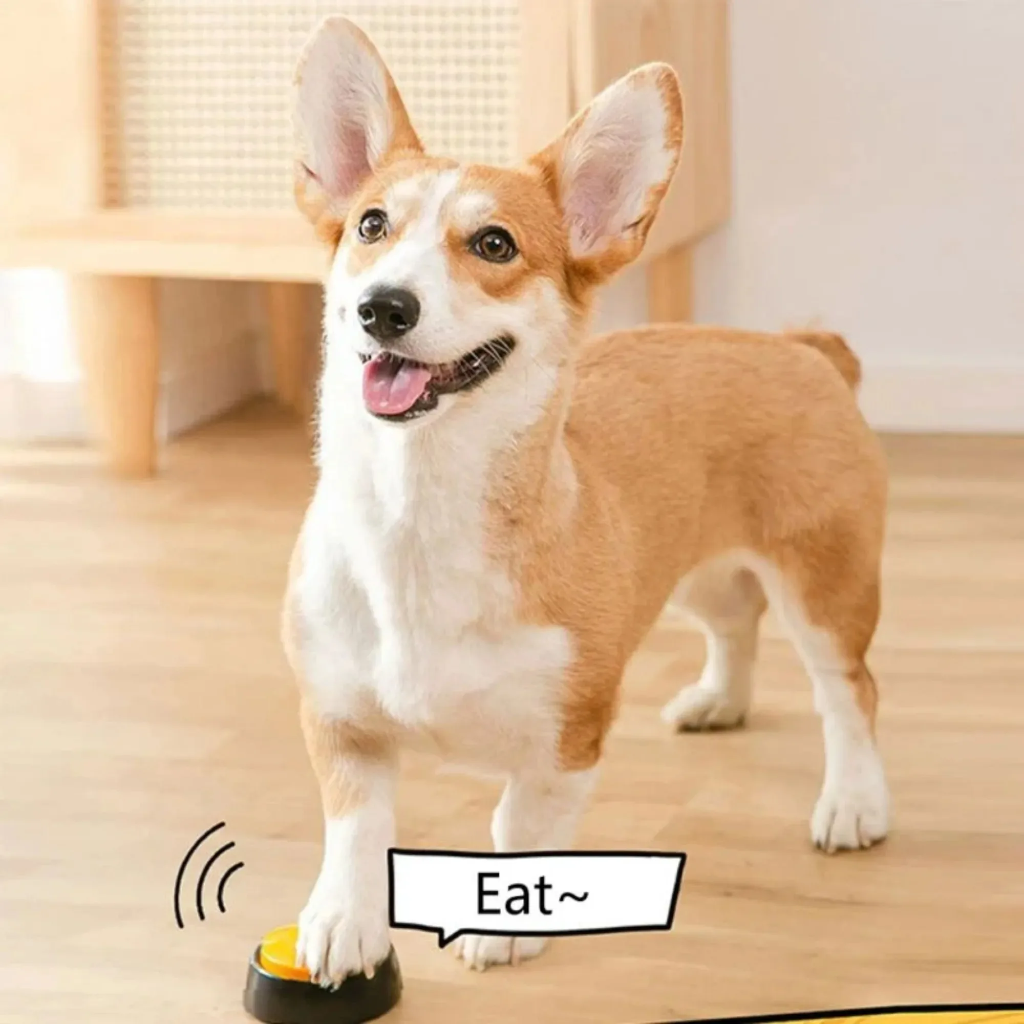 Botones de Comunicación para Perros, Botón de Grabación de Voz para Entrenamiento de Mascotas, Grabador y Reproductor, Regalo Divertido para Perros Habladores, Color Aleatorio