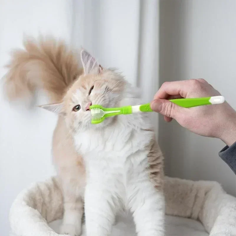 Cepillo de Dientes para Mascotas de 3 Cabezas, Cepillo de Dientes de Cerdas Suaves para Limpieza Bucal de Perros de Raza Pequeña, Mango de Fácil Agarre, Suave con las Encías, Reduce la Placa