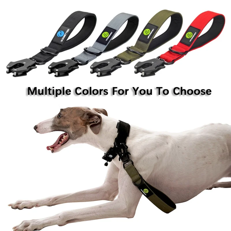 Collar para mascotas, correa para el cuello de perro, correa de nailon para tráfico, correa militar para perros grandes, cuerda corta para paseo, hebilla metálica, accesorios para cachorros
