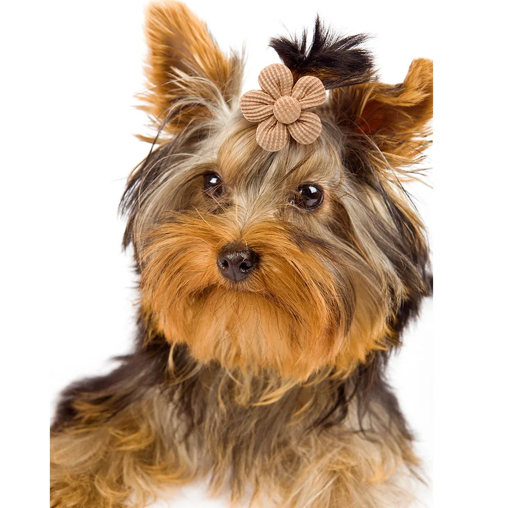 10 Uds. De lazos de primavera para perros, bandas de goma con lazo de flores para cachorros y gatos, accesorios para el cabello de perros a la moda, accesorios para el cuidado de perros