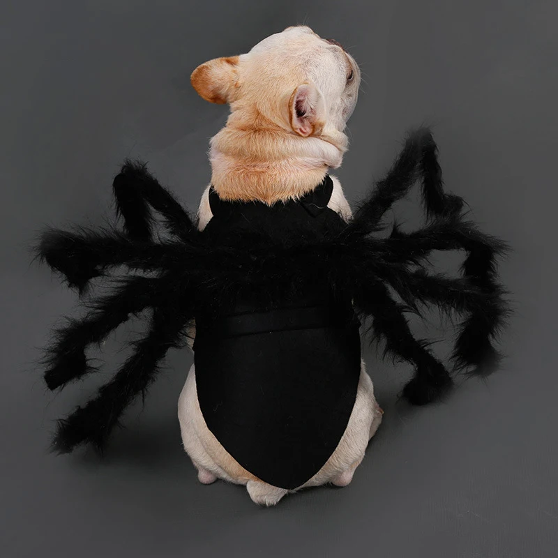 NONOR-ropa de Halloween para perros y gatos, disfraz divertido de araña para mascotas, disfraces de fiesta de Halloween para perros pequeños y medianos