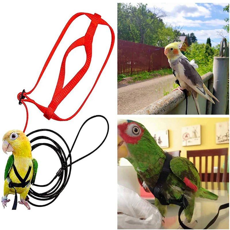 Cuerda de tracción voladora para entrenamiento, cuerda de entrenamiento antimordida, correa para pájaros, cuerda voladora para loros, arnés para loros, correa para pájaros