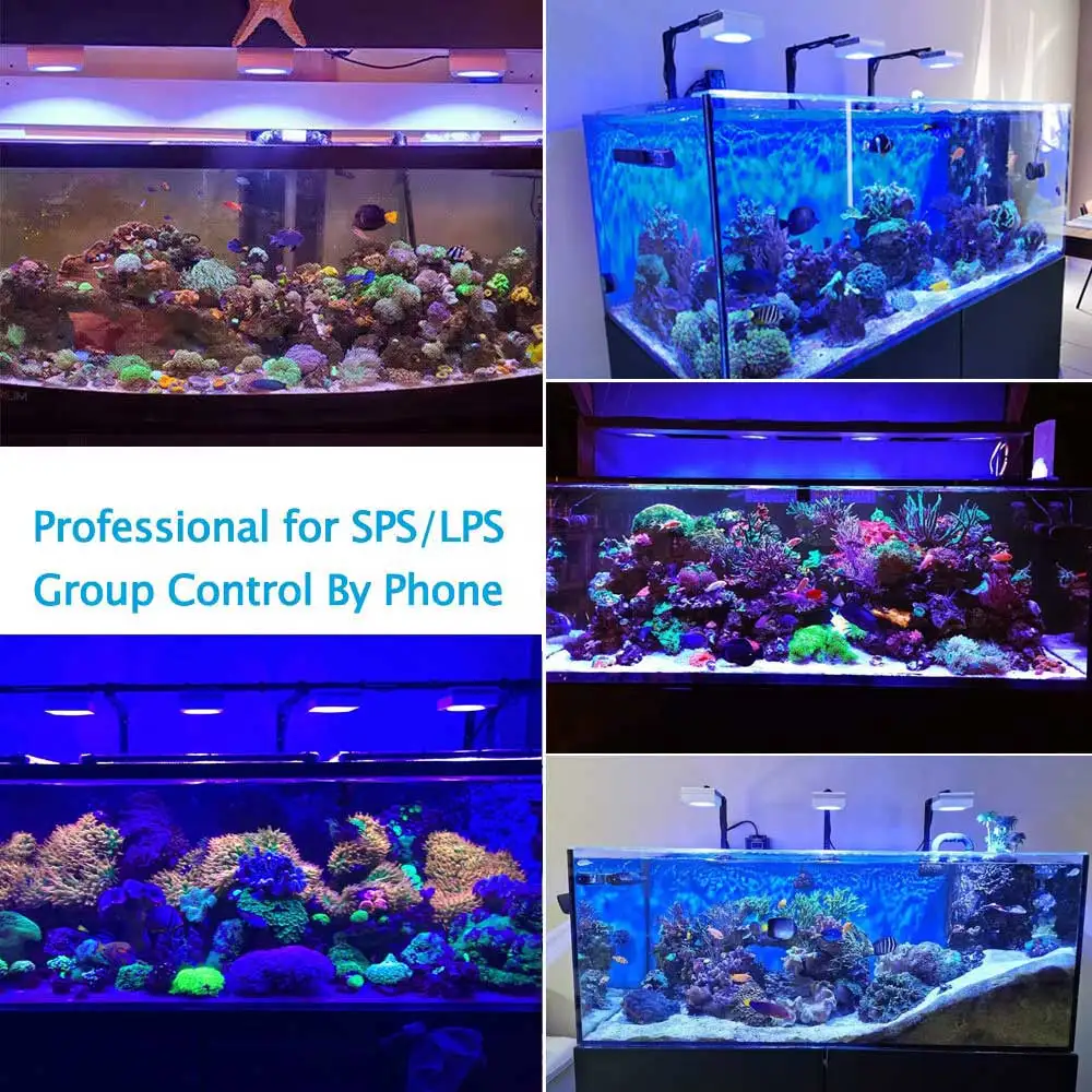 Nuevo PopBloom RL90 WiFi luz led acuario, Espectro completo led acuario marino, pantalla led acuario, luz acuario sps/lps coral, luz de acuario marino reef, iluminacion para acuario marino, Apoyo al español