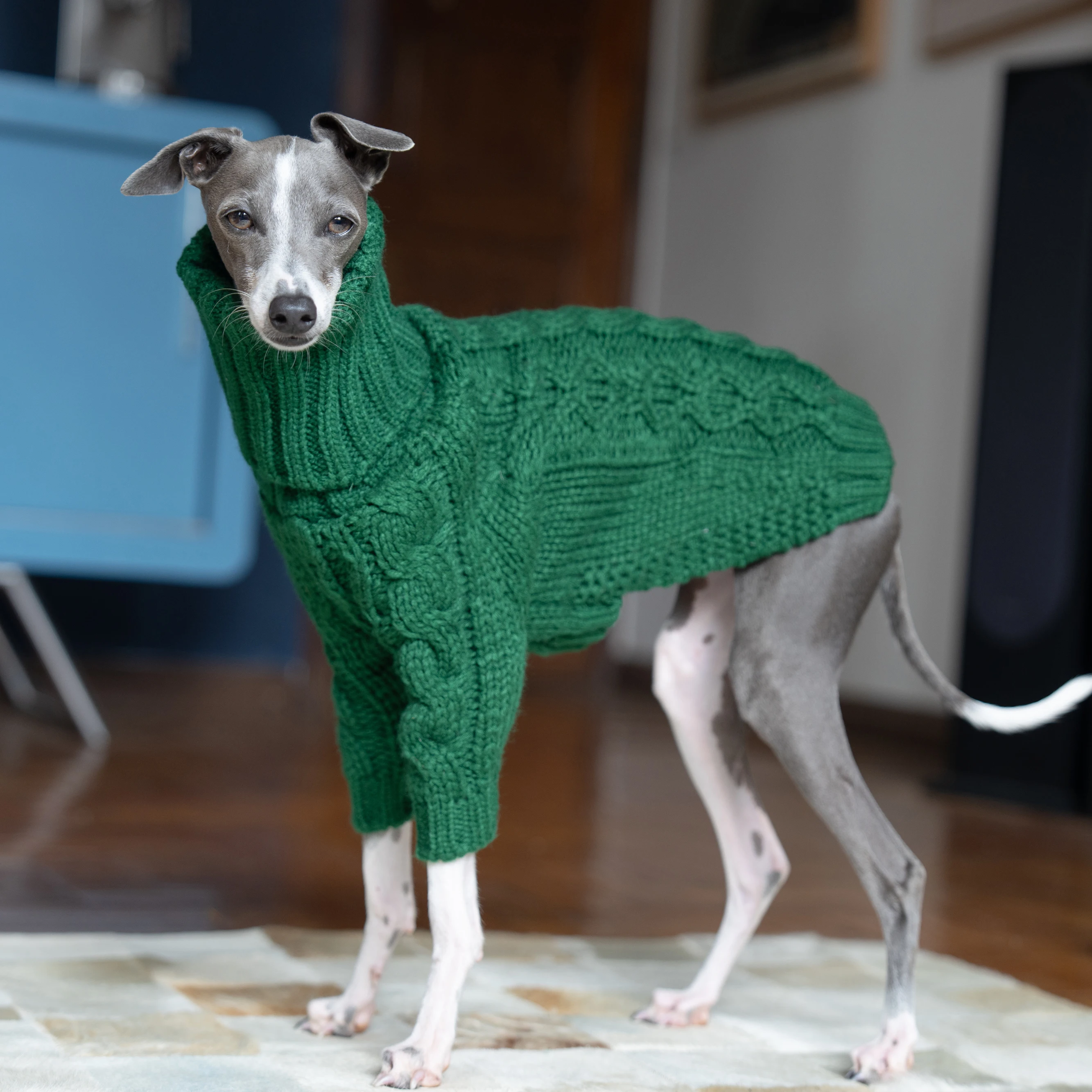 Suéter grueso de cuello alto verde para mascotas, ropa de punto para perros de dos patas, galgo italiano, whippet