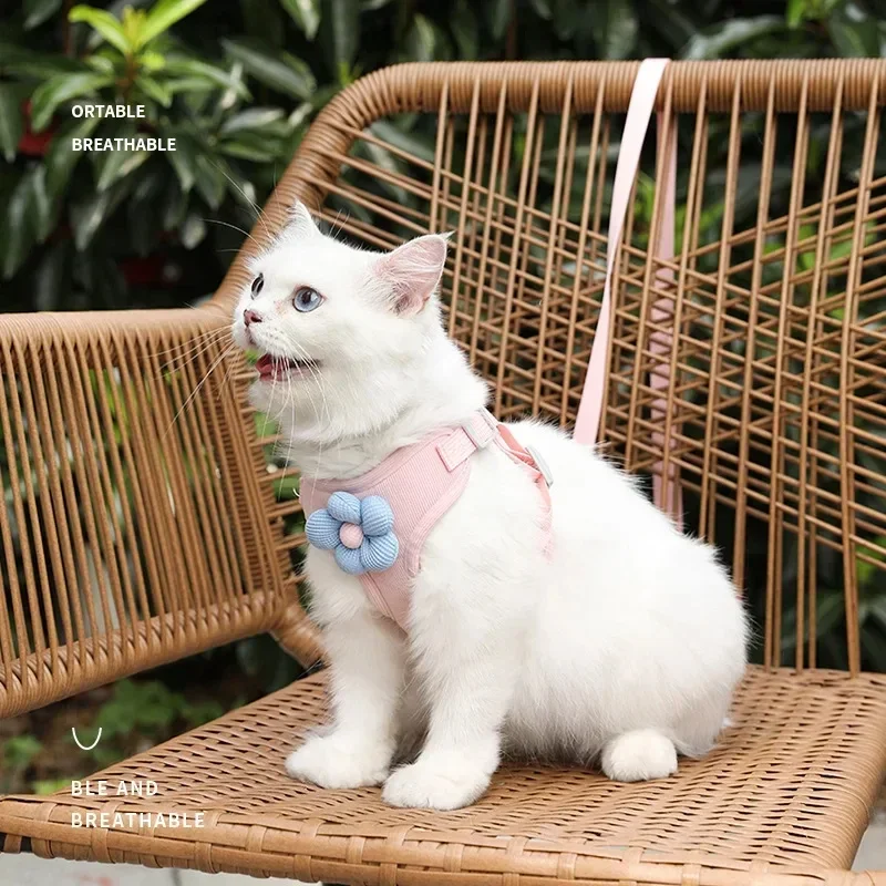 Arnés de Pecho y Espalda para Perros y Gatos con Diseño de Dibujos Animados 3D, Accesorios para Paseo y Protección