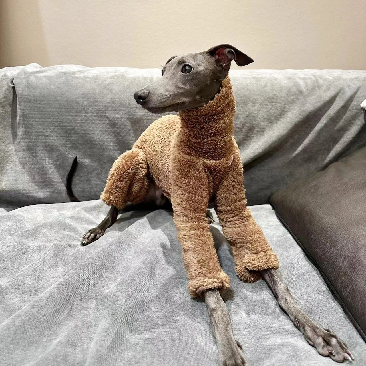 Ropa de invierno para perros, cuello alto, forro polar de doble cara, cálido, galgo/Whippet/abrigo para perros pequeños y medianos