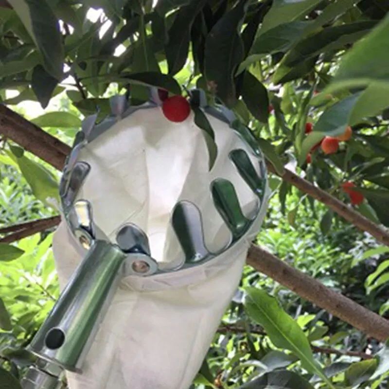 Herramienta recolectora de frutas, herramienta recolectora de cerezas de Metal, cabezal de cesta recolectora de frutas, accesorio para cosechadora de frutas, herramientas de Hardware de jardín, 1 ud.