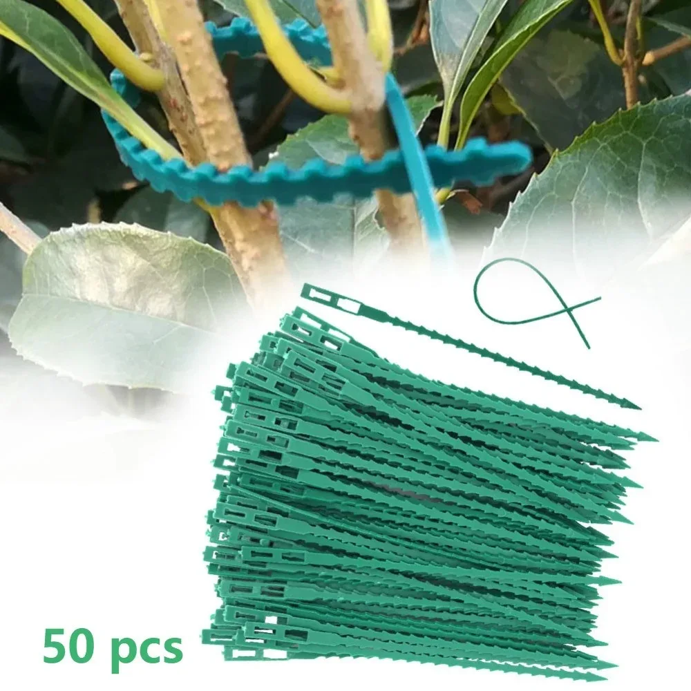 50 unidades de sujetadores de plástico ajustables y reutilizables para plantas, para jardinería, soporte para árboles, plantas trepadoras, tallos de tomate y cinta de sujeción