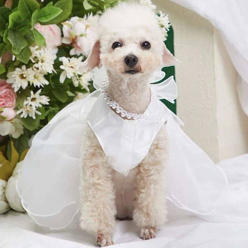 Ropa Para Perro Pequeño 2023 Elegante fiesta Vestidos de Novia Perro Vestido Blanco Doggie Chihuahua Ropa