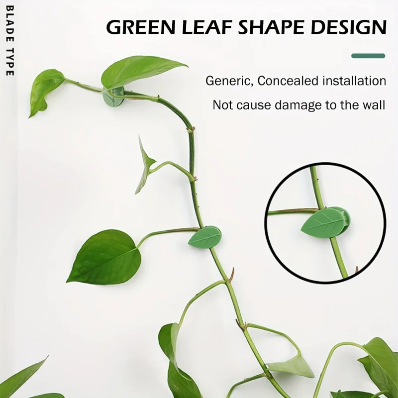 Gancho de fijación autoadhesivo para plantas trepadoras, 10 piezas, Clip de fijación de plantas adhesivas para enredaderas Pothos de jardín