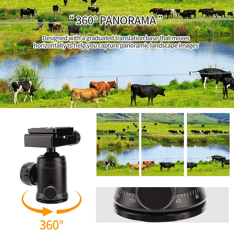 Trípode portátil FM5S, soporte de viaje ligero, Mini trípode de vídeo de sobremesa con cabezal de bola de 360 grados para cámara DSLR SLR