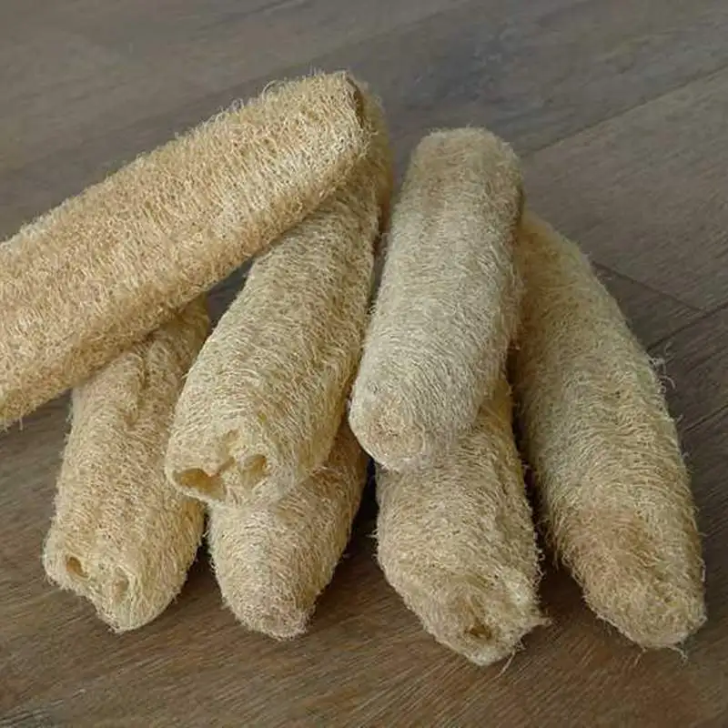 Esponjas de esponja de esponja de cocina orgánicas naturales, depurador de espalda grande para hombres, mujeres y adultos, SPA, belleza, baño, cuidado diario, 5 uds.
