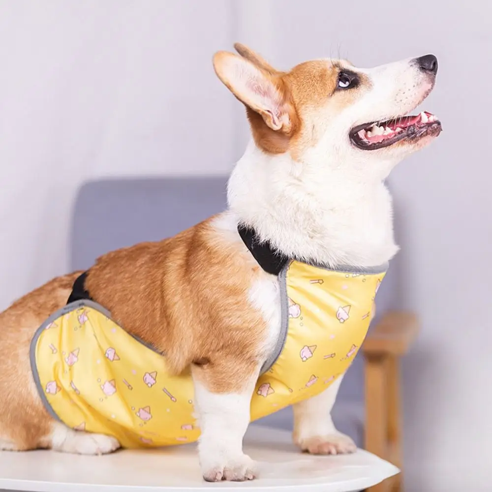 Ropa de protección del vientre para perros Korji, babero impermeable y cálido para mascotas, bolsillo para el vientre para perros de verano