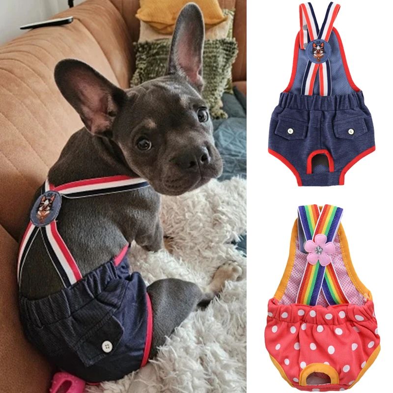 Pantalones Fisiológicos de Mezclilla para Bulldog Francés, Pantalones Sanitarios de Seguridad con Puntos para Perras, Pantalones Cortos para Perros Pequeños y Medianos, Gatos y Mascotas