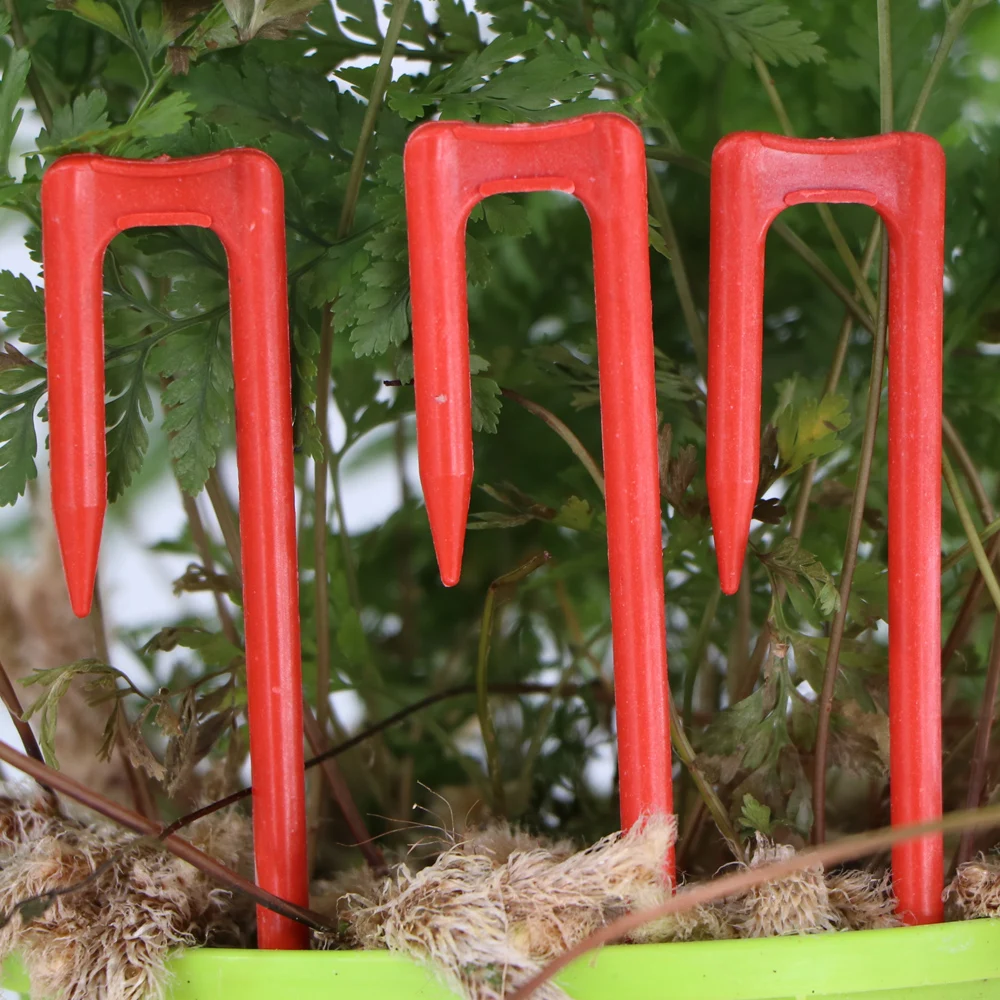20-50 Uds. Tenedor para plantar fresas, tenedor para cavar, 50mm, 93mm, 108mm, fijador de estolones, dispositivo de prensado de vid, pinzas para vástago trepador de sandía