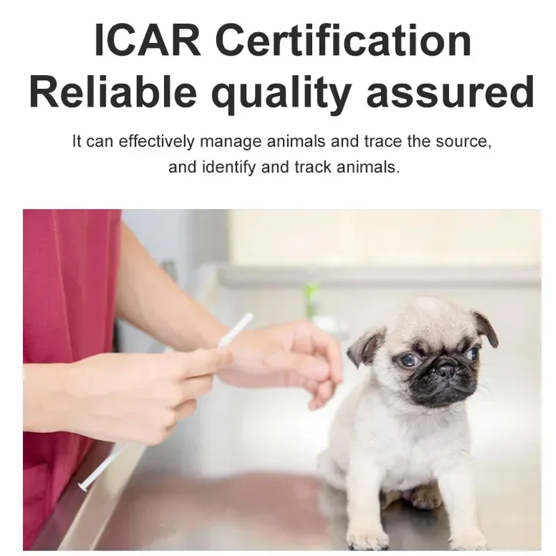 20 piezas Microchip para mascotas 134,2 KHz jeringa para animales EM4305 Chip de identificación ISO11784/11785 FDX-B Microchip de inyección de animales para perros y gatos