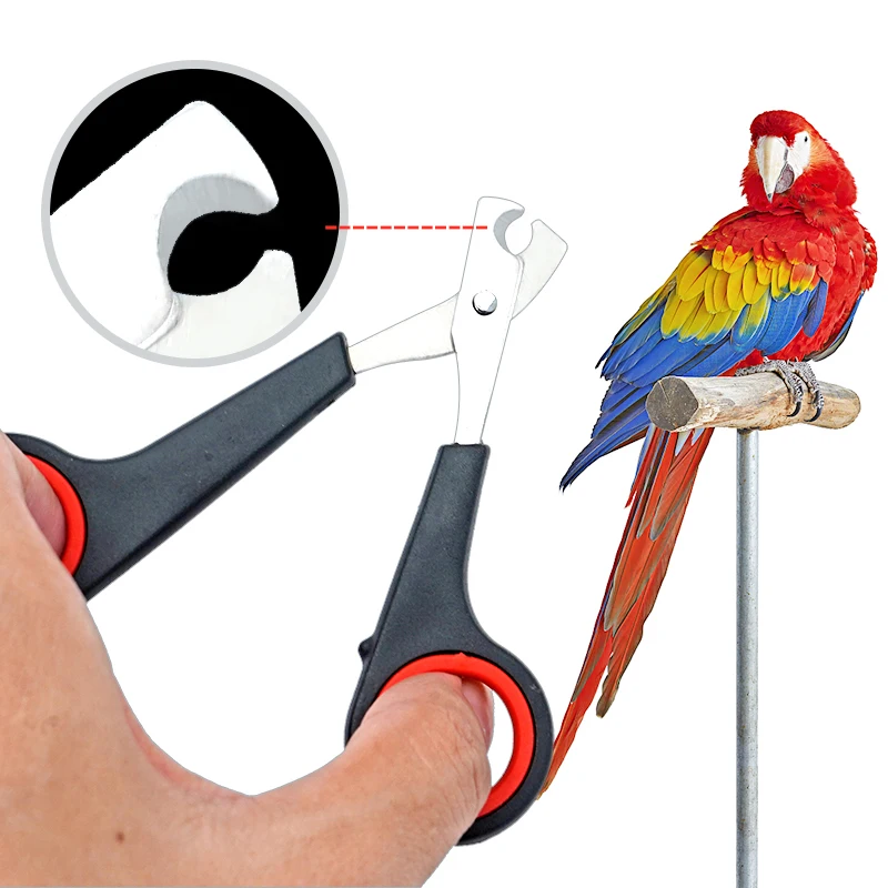 Pet pájaro loro animales pequeños accesorio herramienta de aseo tijeras para uñas cortaúñas negro y rojo