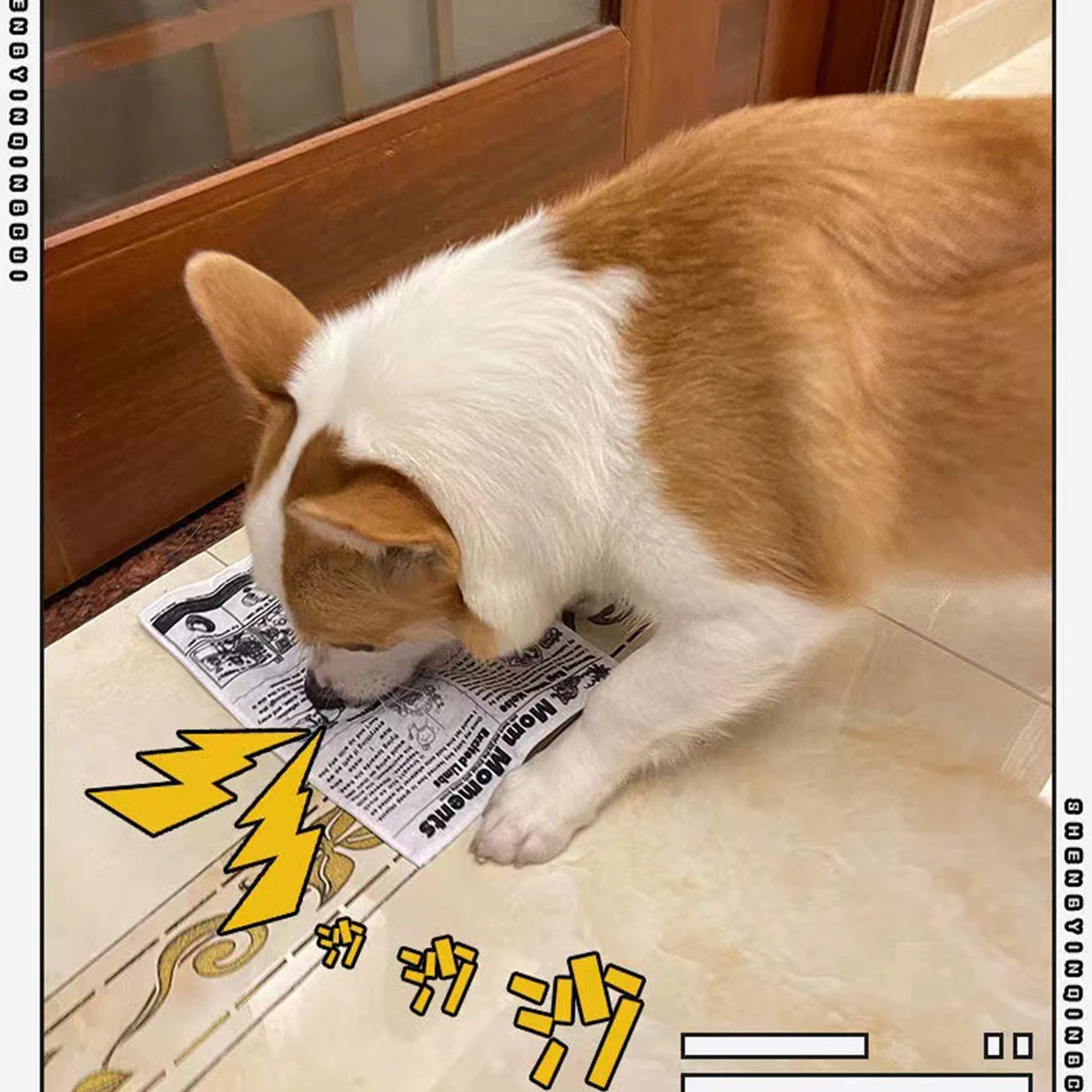 Juguete con sonido de perro a prueba de lágrimas, tarjeta de juego de periódico chirriante simulada, K Q J, resistente a los dientes, Corgi, cachorro de peluche interactivo, 1 ud.