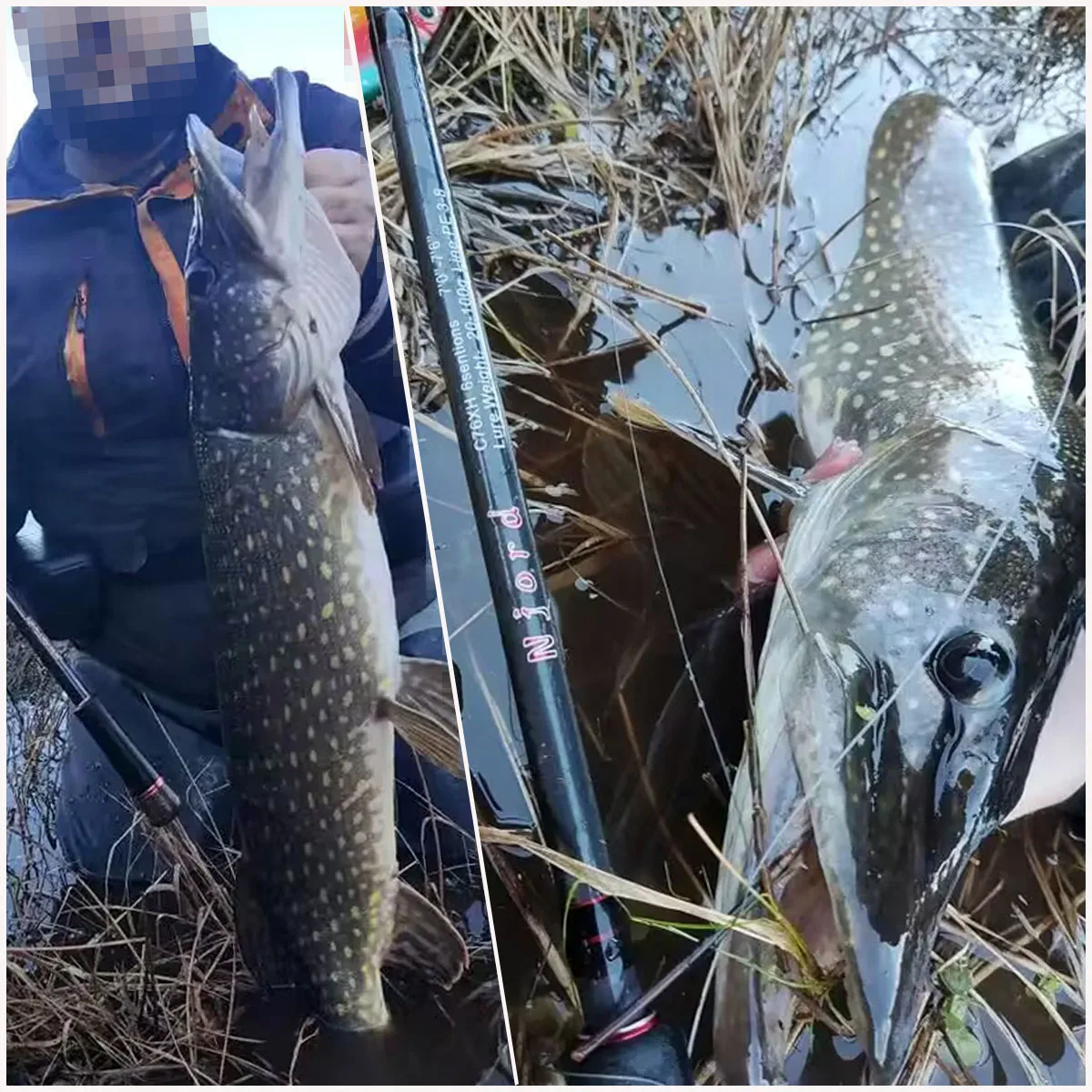 Caña de pescar de viaje para juego grande 2,1 m 2,28 m caña de pescar de fundición caña JerkBait 5 secciones