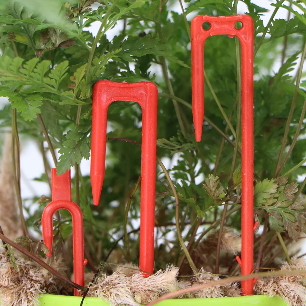20-50 Uds. Tenedor para plantar fresas, tenedor para cavar, 50mm, 93mm, 108mm, fijador de estolones, dispositivo de prensado de vid, pinzas para vástago trepador de sandía