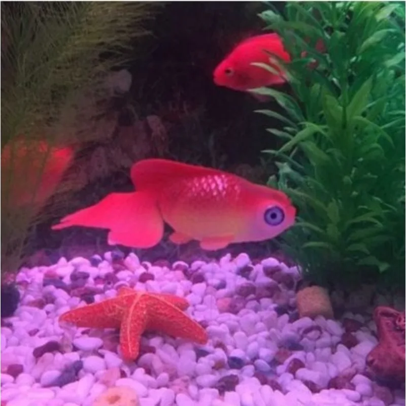 Decoración de acuario Artificial, efecto brillante, pez dorado, adorno para acuario, 1 ud.