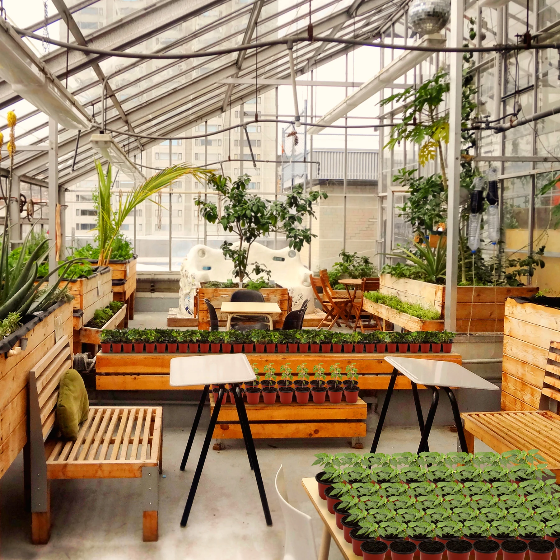 Macetas para vivero con cúpulas de humedad, 20 juegos de macetas suaves para vivero de 4 pulgadas (20 macetas + 20 tapas transparentes), macetas para principiantes de semillas, plantas pequeñas