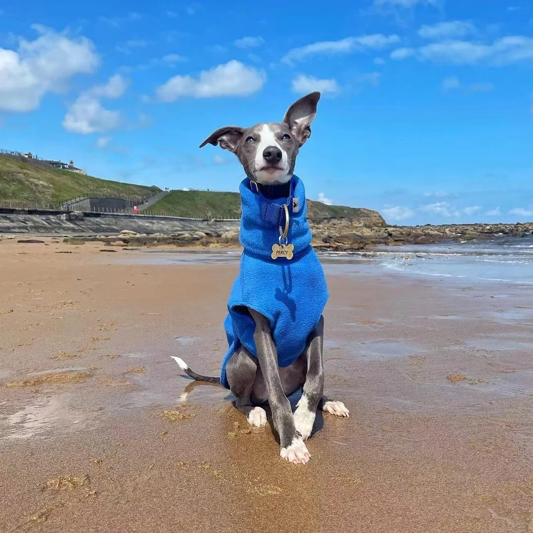 Chaleco Whippet de lana de invierno, ropa de galgo italiano, ropa de cuello alto para perros, ropa de lana suave