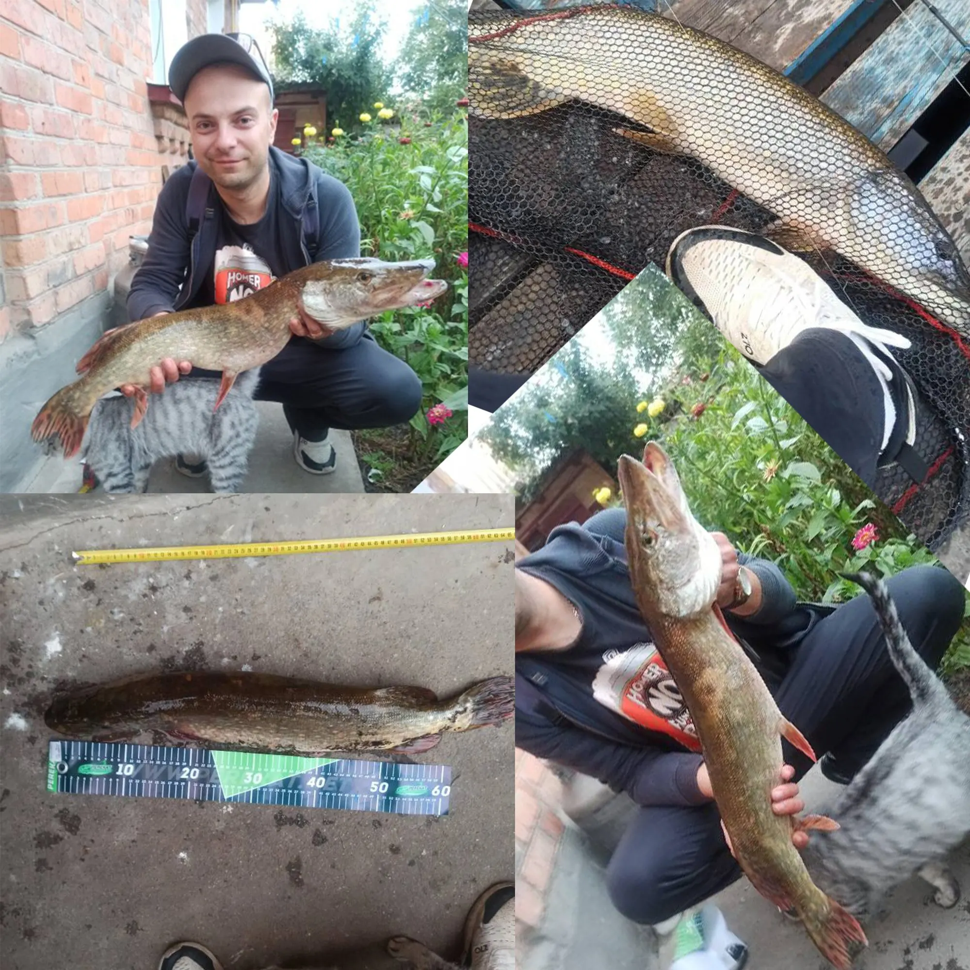 Barra de pesca BIUTIFU BIGFISH Carp Surfcasting Rock 3,0/3,6/3,9/4,2/4,5 m T800Carbon 3,5 LB Shore Casting 40-200g
