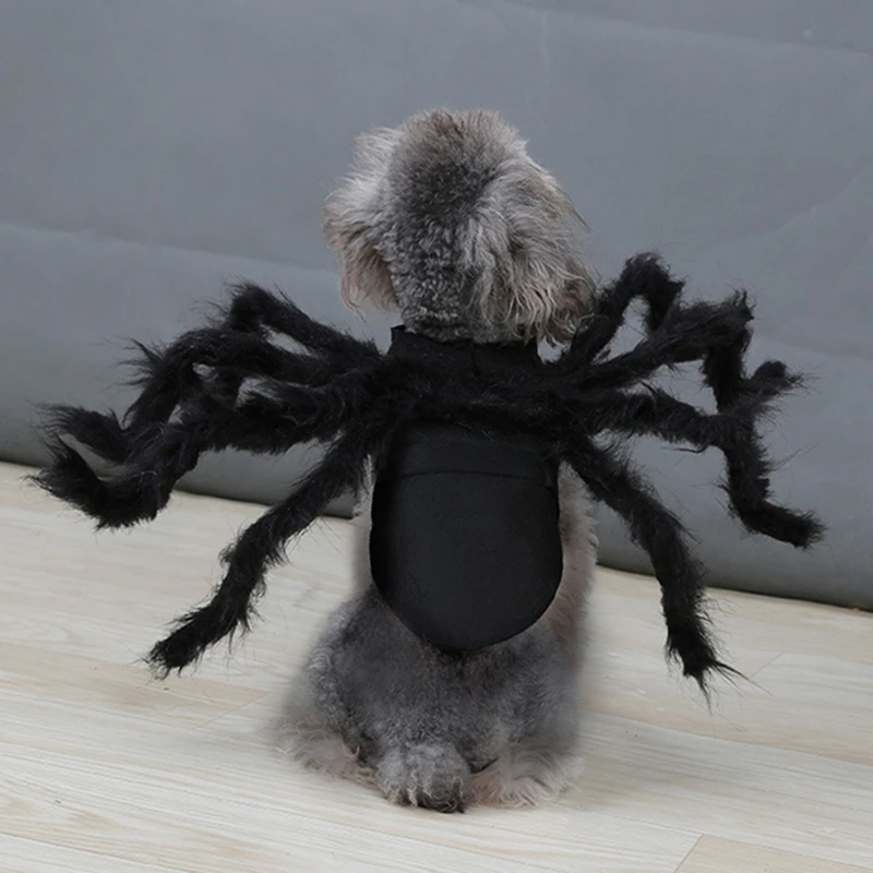 NONOR-ropa de Halloween para perros y gatos, disfraz divertido de araña para mascotas, disfraces de fiesta de Halloween para perros pequeños y medianos