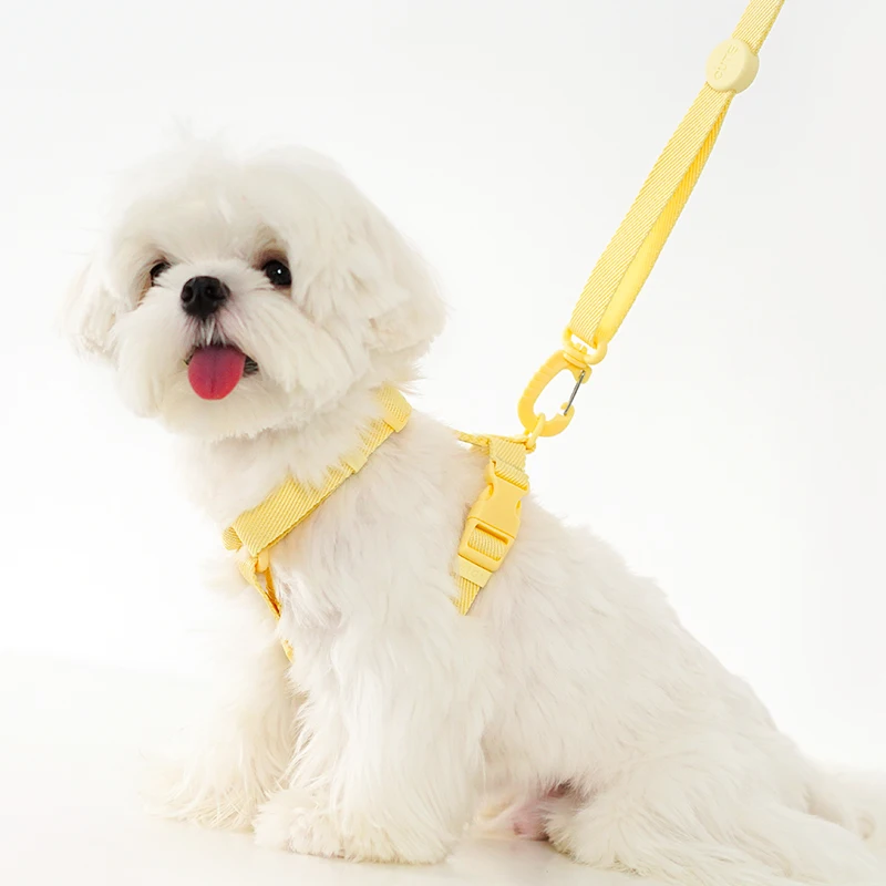 Arnés para perros ajustable, conjunto de correa, Color macarrón, accesorios reflectantes para perros pequeños, suministros para cachorros y gatos, paseos para mascotas