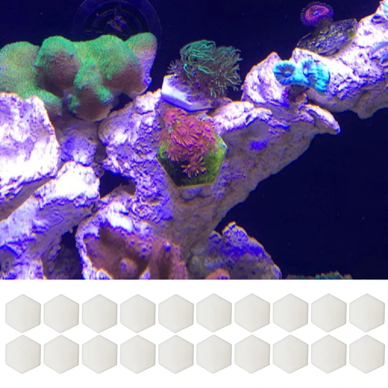 Discos de Cerámica para Fragancias de Coral, Tapones Hexagonales para Corales, Soportes para Fragancias de Coral, Placas y Soportes para Acuarios, Accesorios para Acuarios
