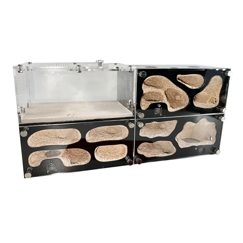 Granja de hormigas de hormigón, Control inteligente de temperatura, nido de hormigas, empalmable, antill expandido, casa de hormigas, perrera de hormigas acrílicas, caja de insectos