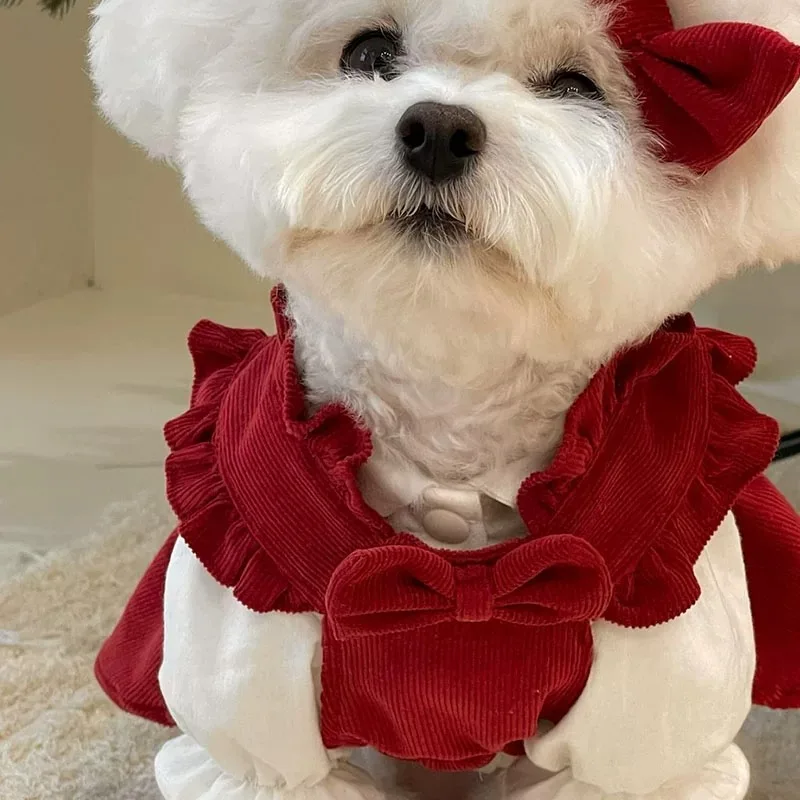 Conjunto de vestido con lazo para cachorro, ropa cálida de invierno para perros, vestido de princesa de Navidad para mascotas, falda de Color sólido de peluche, enviar Clip