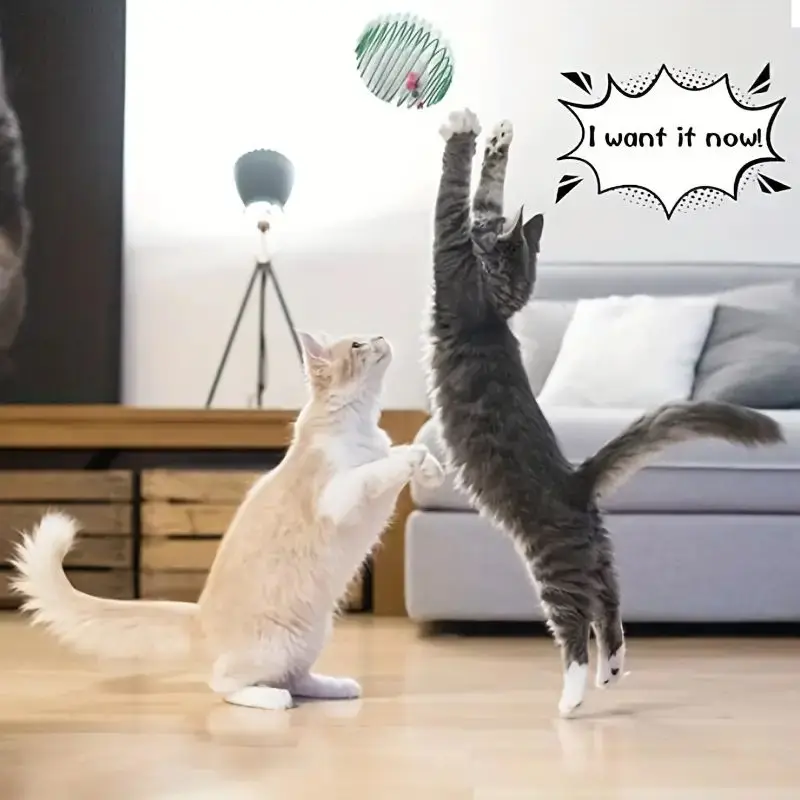 Pelotas de juguete para gatos, divertidos juguetes elásticos con resortes para gatitos, ratas enjauladas interactivas, bolas rodantes para gatos, accesorios para gatos de Color aleatorio para mascotas