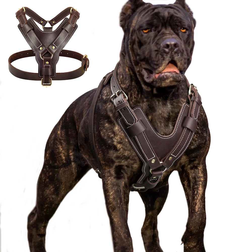 Arnés para perro grande y duradero, Chaleco de cuero genuino, ajustable, Control rápido con asa, suministros para mascotas para Labrador
