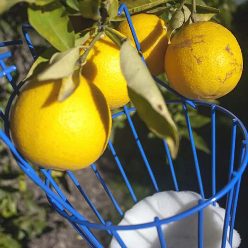 Máquina recolectora de frutas, dispositivo receptor de recogida de frutas, práctico y práctico, herramienta de jardinería