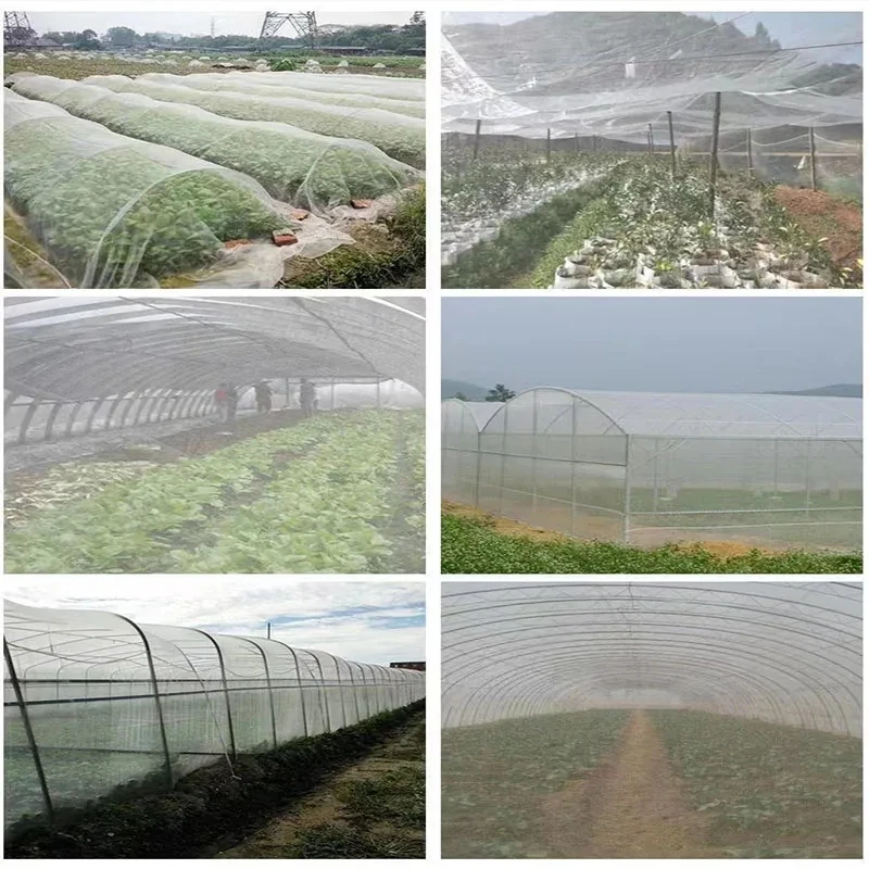 Malla de control de plagas para plantas de jardín, malla de cobertura para el cuidado de vegetales, flores y frutas, gestión de plagas, malla de protección para pájaros (60 unidades)