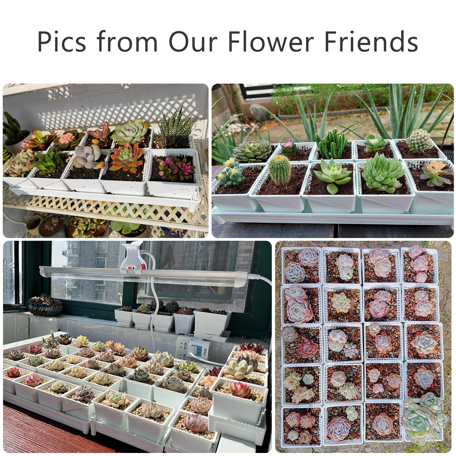 Macetas de malla de varios tamaños para flores, suculentas, cactus, plantas de vivero, macetas con agujeros, accesorios de jardín para decoración del hogar