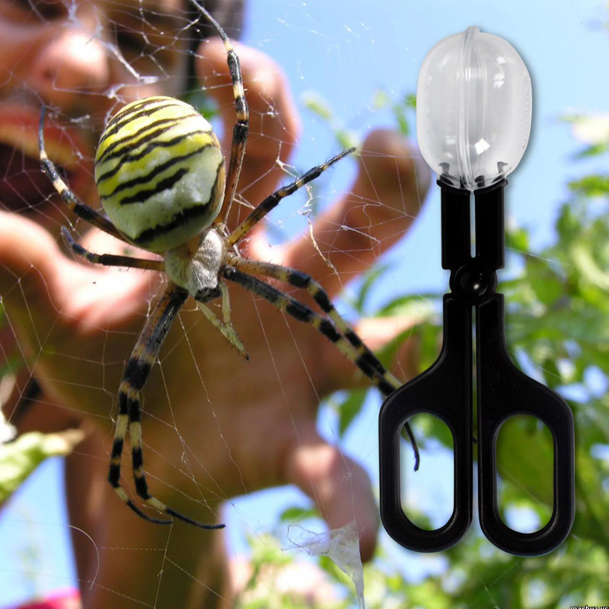 Terrario para reptiles, lagartos, pinzas de plástico, herramienta de alimentación para levantar mascotas, Clip para niños, herramienta de estudio de biología de insectos y plantas escolares