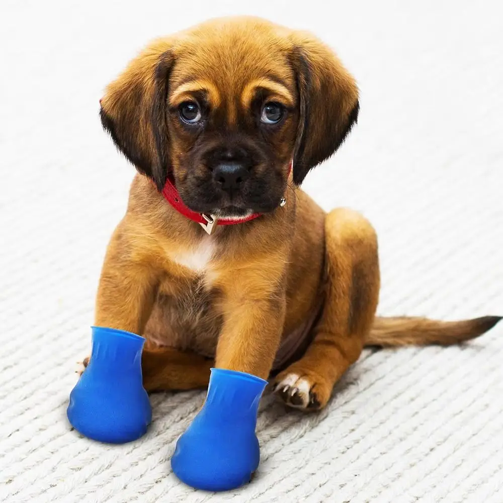 4 Uds nuevos zapatos impermeables para perros globo de goma antideslizante botas para mascotas Botas de lluvia para perros pequeños Chihuahua perros grandes