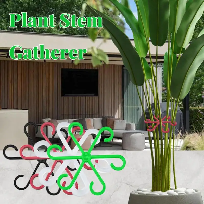 Clips de soporte para plantas trepadoras, colección de tallos de flores, estante de fijación, marco de soporte de escalada para escalar, vid Monstera de Alocasia, 4 Uds.