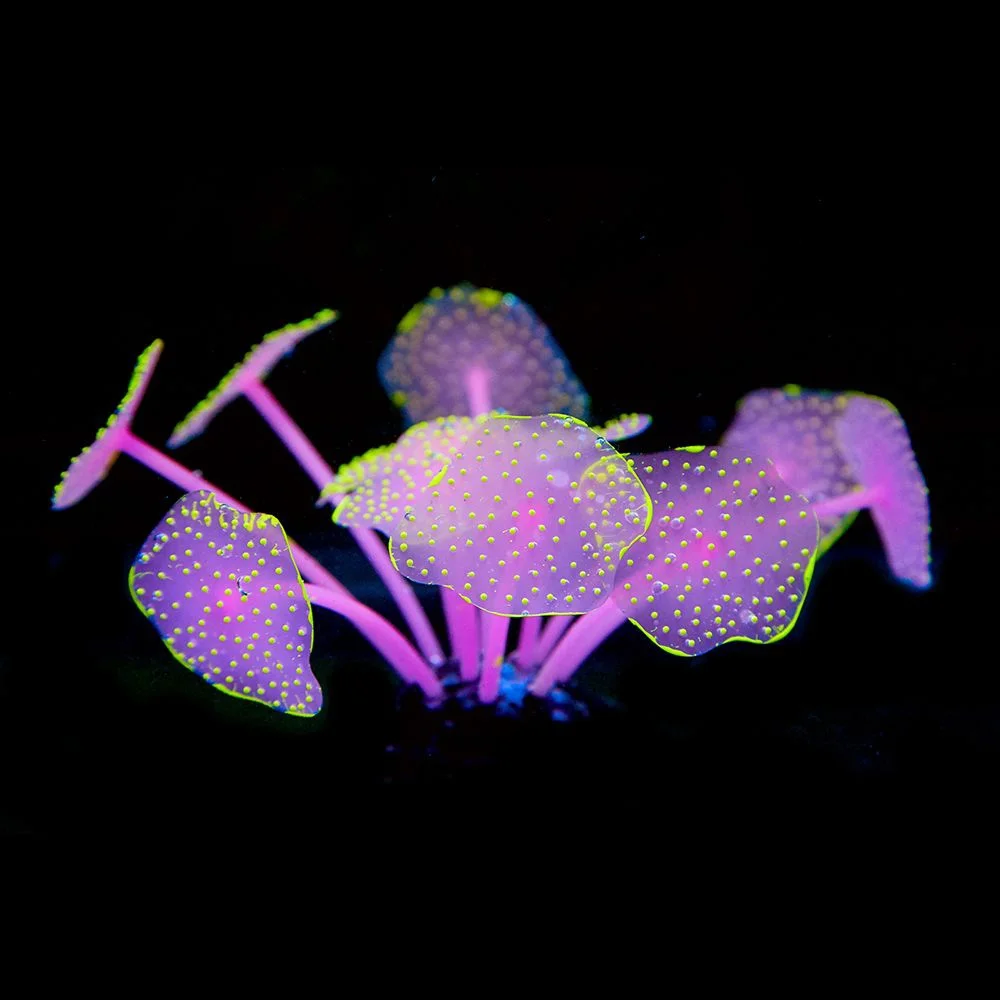 Acuario de Coral con ventosa, planta de silicona de Coral Artificial con adorno de ventosa, decoración de paisaje de agua, accesorios para acuario
