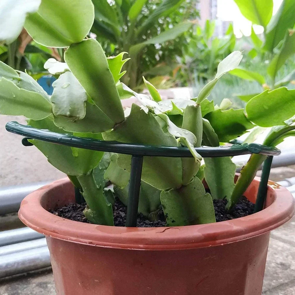 Soporte de plástico para plantas, marco de pila, arreglo de invernadero, varilla fija semicircular, soporte de escalada para plantas y flores de interior