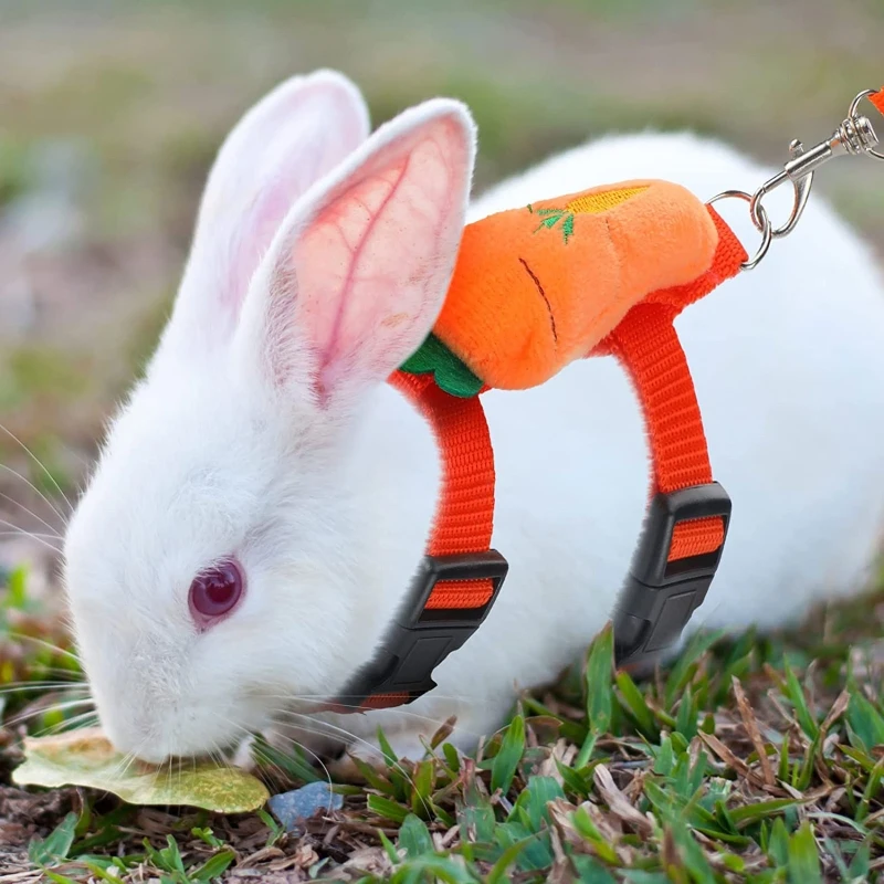 Arnés y Correa para Conejos de Dibujos Animados, Ajustables, para Animales Pequeños, Conejillos de Indias, Mascotas, Accesorios